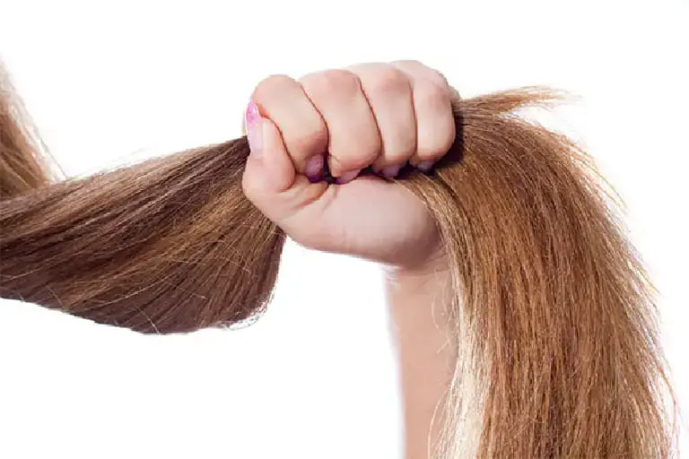 Essential Nutrition for Hair Growth [9 Nutrients] - Keevs