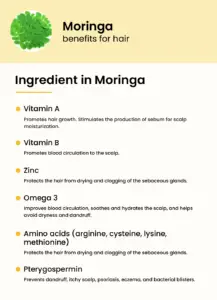Top 5 Benefits of Moringa Oil and Powder for Your Hair - Keevs