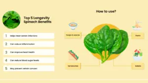 Top 11 Health Benefits of Longevity Spinach (Gynura Procumbens)