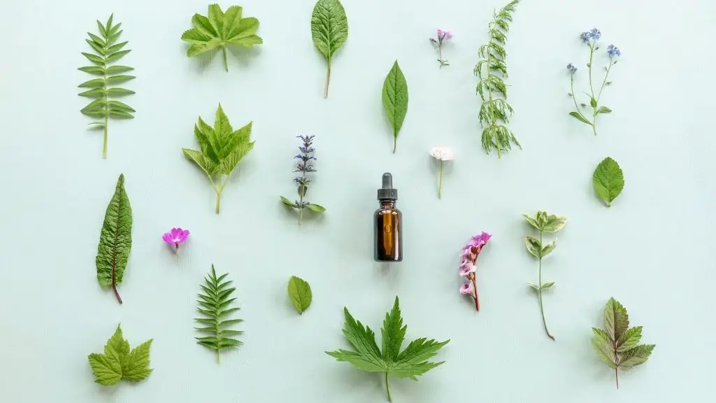 Top 7 Essential Oils for OCD (Obsessive Compulsive Disorder)