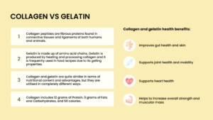 Collagen vs Gelatin: Which One is Better?