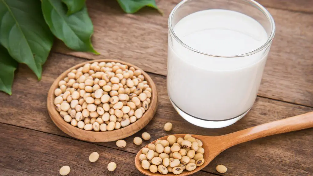 Is soy lecithin bad for you?